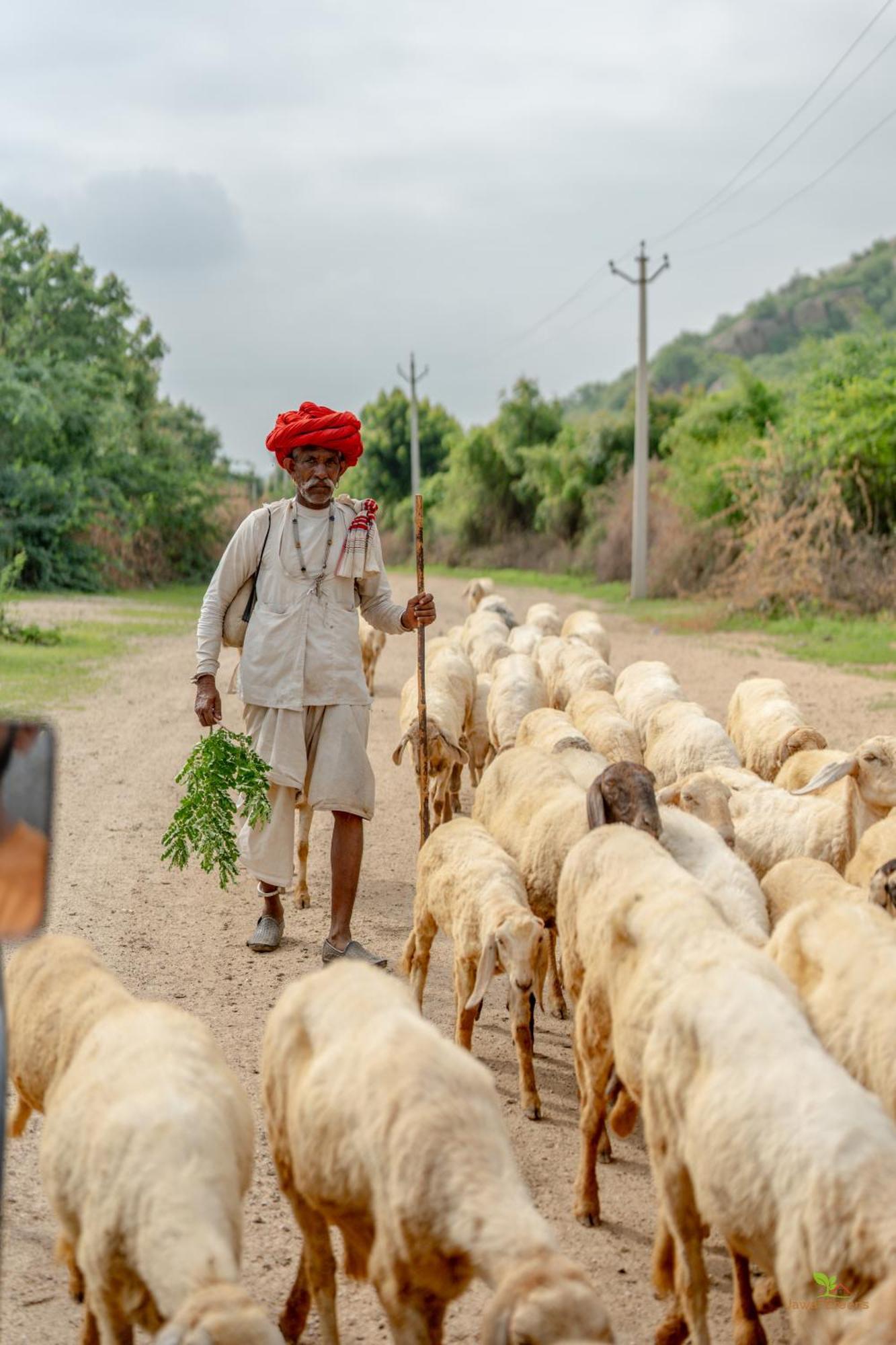 Jawai Greens Jawai Bandh المظهر الخارجي الصورة