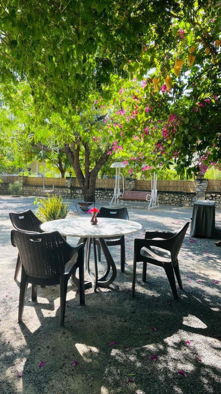 Jawai Greens Jawai Bandh المظهر الخارجي الصورة